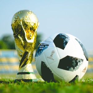 世欧预射手王双星闪耀，哈兰德莱万同创16球纪录，定义新时代锋霸标杆